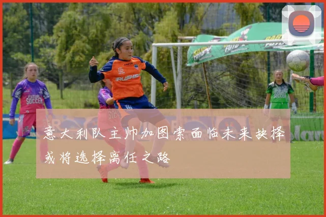 意大利队主帅加图索面临未来抉择或将选择离任之路